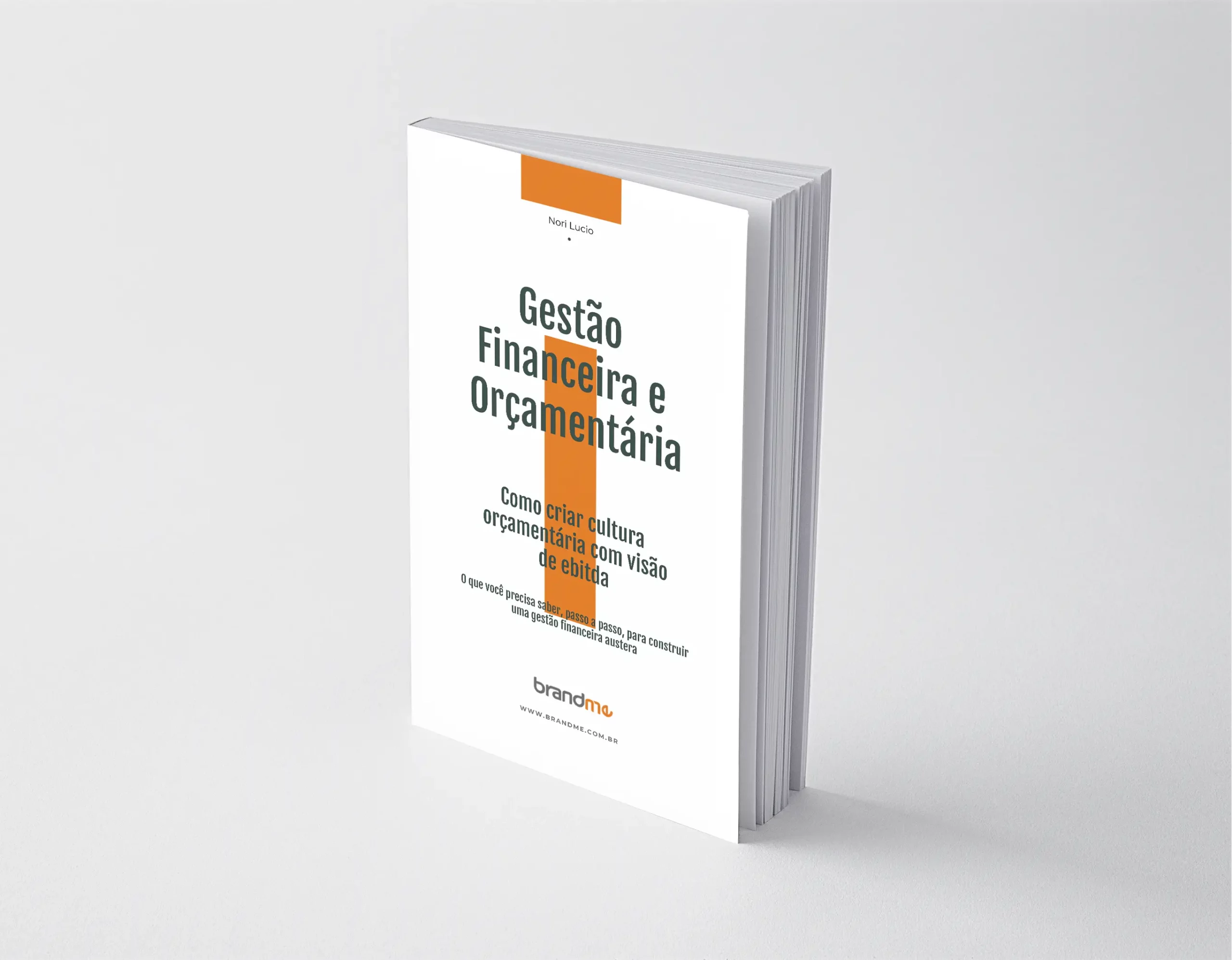 Ebook Gestão Financeira e Orçamentária para PMEs